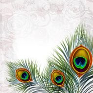 Background With Peacock Feathers in EPS10