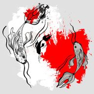 Koi Fishes in Pond
