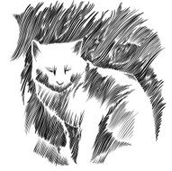 Cat vector drawing