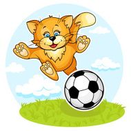 Cat footboler