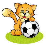 Cat with soccer ball