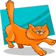 running red fluffy cat