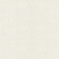 Paper Backround