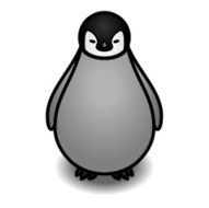 Penguin chick
