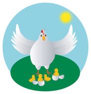 Spring chickens