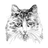 Cat line art N2