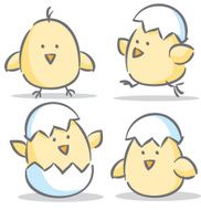 Chickens N11