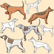 Pet Illustrations X Dogs (Vector) N2