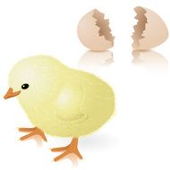 Chick And Egg N2