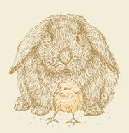 Rabbit and chicken