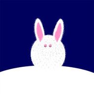 Snow Rabbit