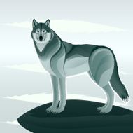 Beautiful wolf