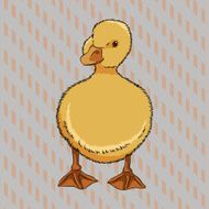 Realistic duckling front view N2