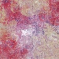 Grunge Background N1228
