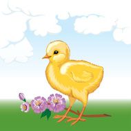 Chicken N40
