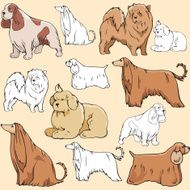 Pet Illustrations XIII Dogs (Vector) N2