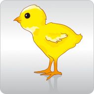 Chicken N42