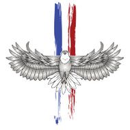 Bald Eagle N12