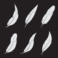 Vector group of feather N6