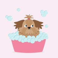 Little glamour tan Shih Tzu dog taking a bubble bath
