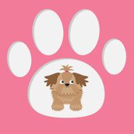 Little glamour tan Shih Tzu dog in the paw print