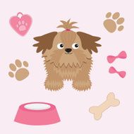Little glamour tan Shih Tzu and dog stuff