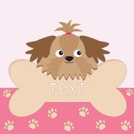 Glamour tan Shih Tzu dog head with bone Paw print