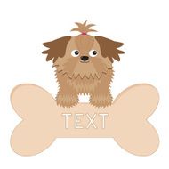 Little glamour tan Shih Tzu dog and big bone Isolated