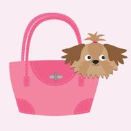 Little glamour tan Shih Tzu dog in the pink bag