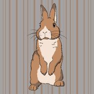 Fluffy brown standing rabbit
