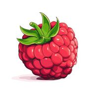 Ripe raspberry