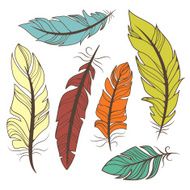 Colorful feathers N5