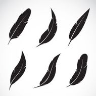 Vector group of feather N7
