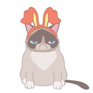 Cat Alya hare ears N2