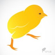 Vector image of an chick N2