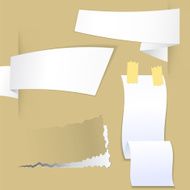 Collection with various pieces of paper