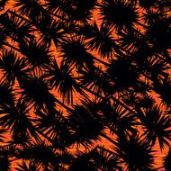 Pattern with palm leaves on tropical sunset