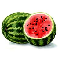 watermelon watercolor illustration N2