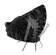 butterfly graphic design N3