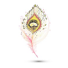Peacock feather in white background N6