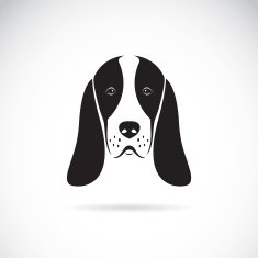 Vector image of an basset hound head