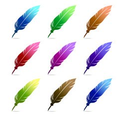 Colorful feathers N3