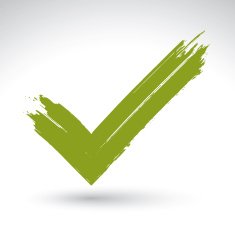 Hand drawn validation icon scanned and vectorized brush drawing N2