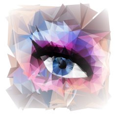 Abstract woman eye created from polygons N2