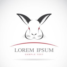 Vector image of an rabbit head