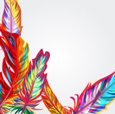 Bright feathers N2