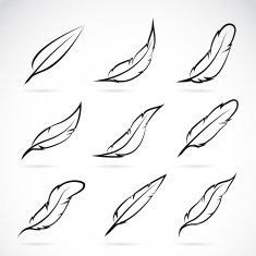 Vector group of feather N5