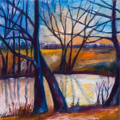 Winter forest N30