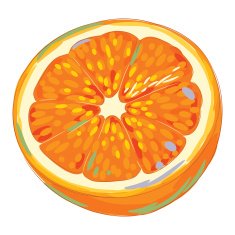Fresh Orange slice isolated on White