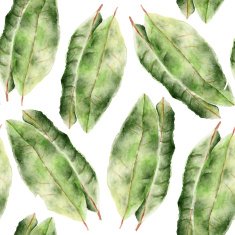 Seamless pattern with bay leaf N8